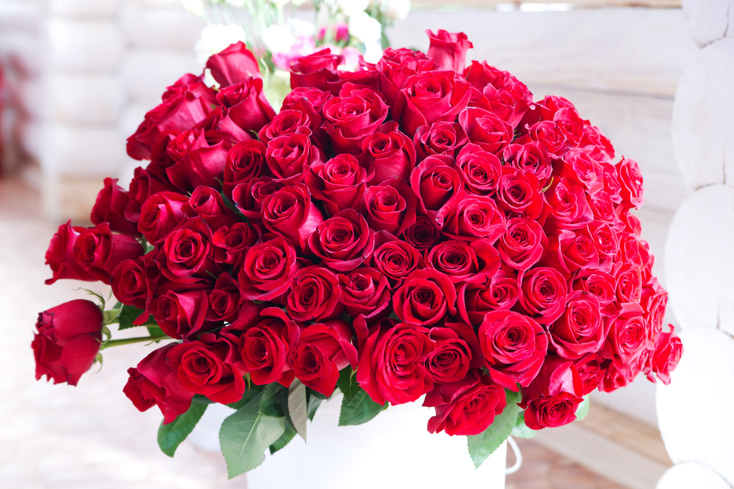 Rosa Fresca – Anisa Insumos