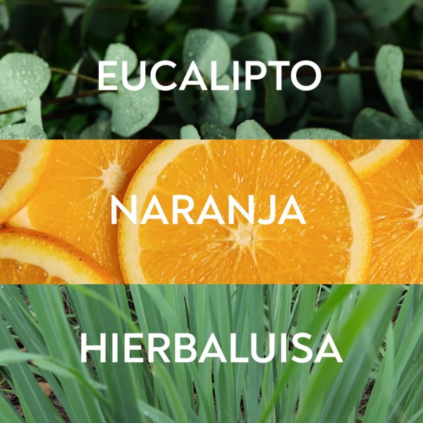 Mix energizante de aceites esenciales