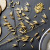 Extracto de Avena