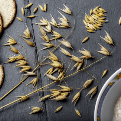 Extracto de Avena
