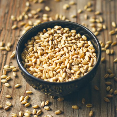 Extracto de Germen de Trigo