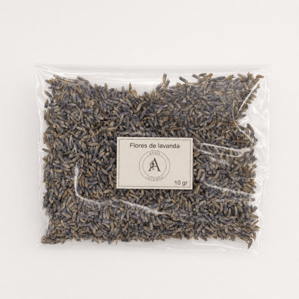 Flores de Lavanda azul